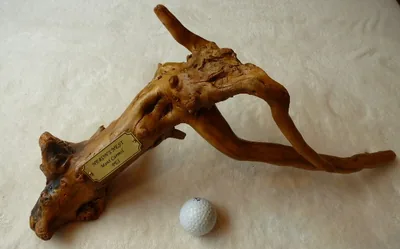 Golden driftwood golf ball display with an engraved brass plaque