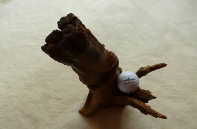 Upright driftwood stump holding a golf ball