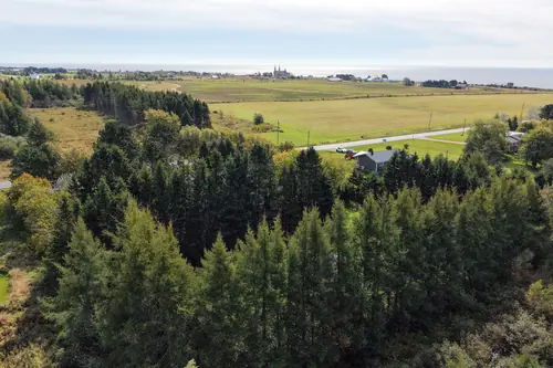 The tall treeline, with the fields and water behind