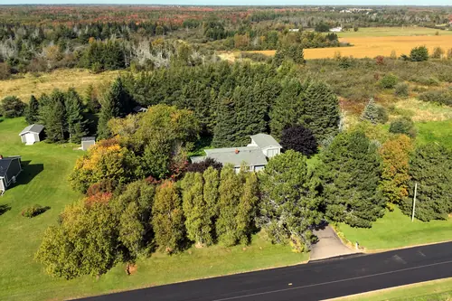 The house among the trees, seen from above the road